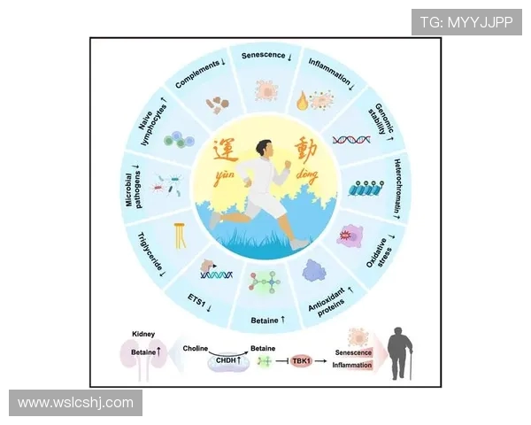 探索运动的多样性与健康效益：从健身到竞技体育的全方位解读