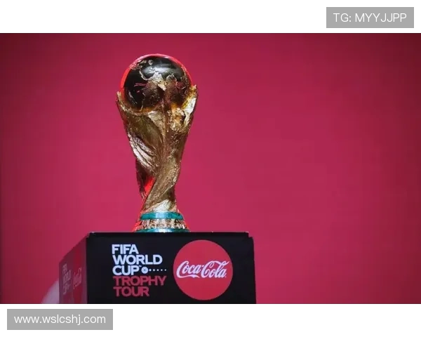 世界杯精彩回顾与未来展望 探索足球赛事背后的故事与影响