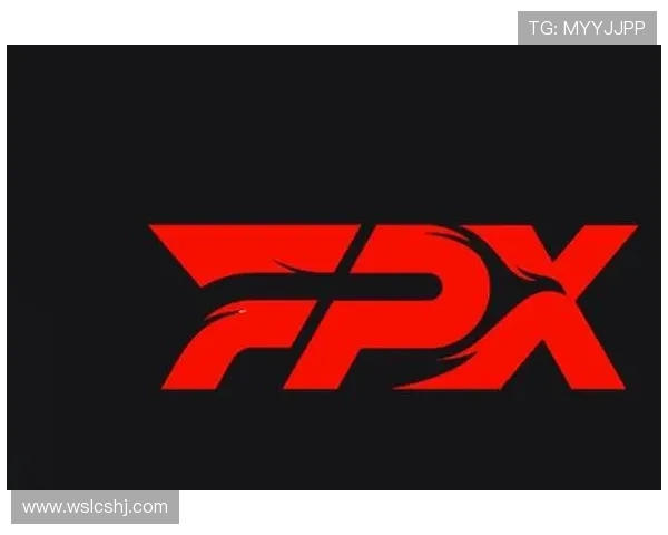 FPX战队在CSGO赛事中的表现分析与未来发展展望