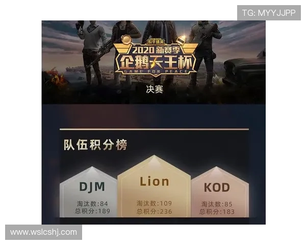 和平精英热议：WE团队协作引发的争议与反思