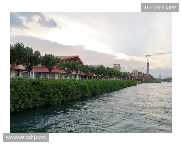 深圳滑板队团队协作模式深度对比与分析探讨 深圳滑板队团队协作模式深度对比与分析探讨