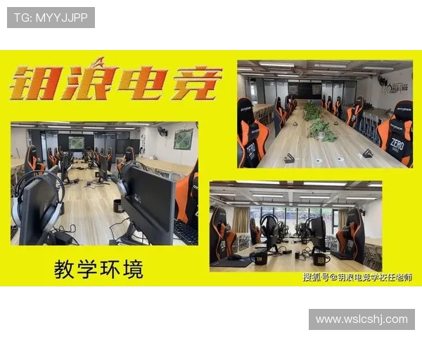 全球电竞职业联赛体系发展趋势与青年玩家职业化培养路径分析 全球电竞职业联赛体系发展趋势与青年玩家职业化培养路径分析